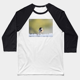 Chickadee in winter Baseball T-Shirt